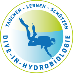 D-HY-Logo